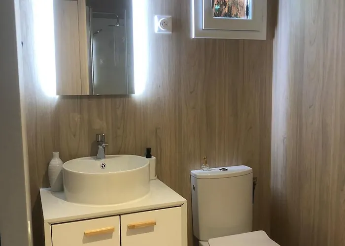 Le Cocon Apartment Rive-de-Gier